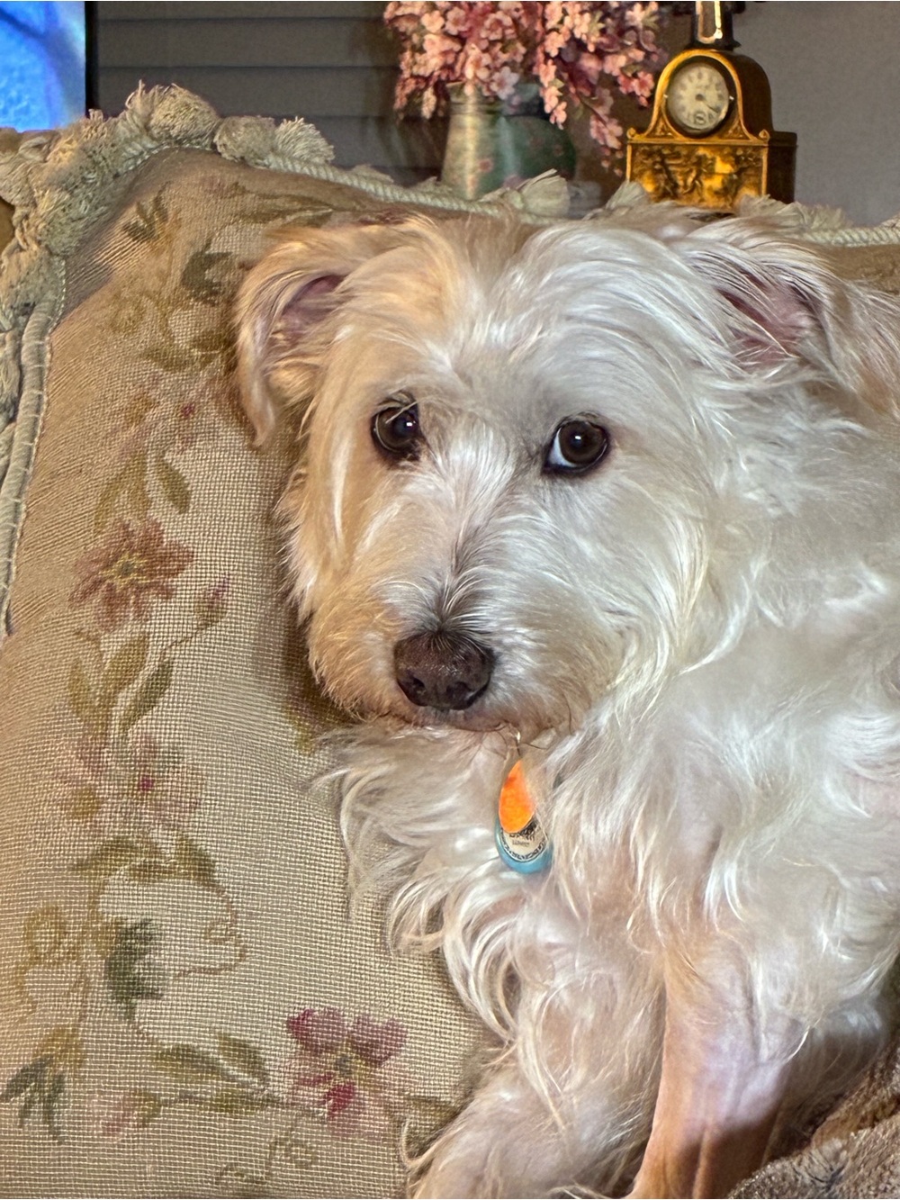 Cooper say’s mom has made lots of markdowns!!!!!